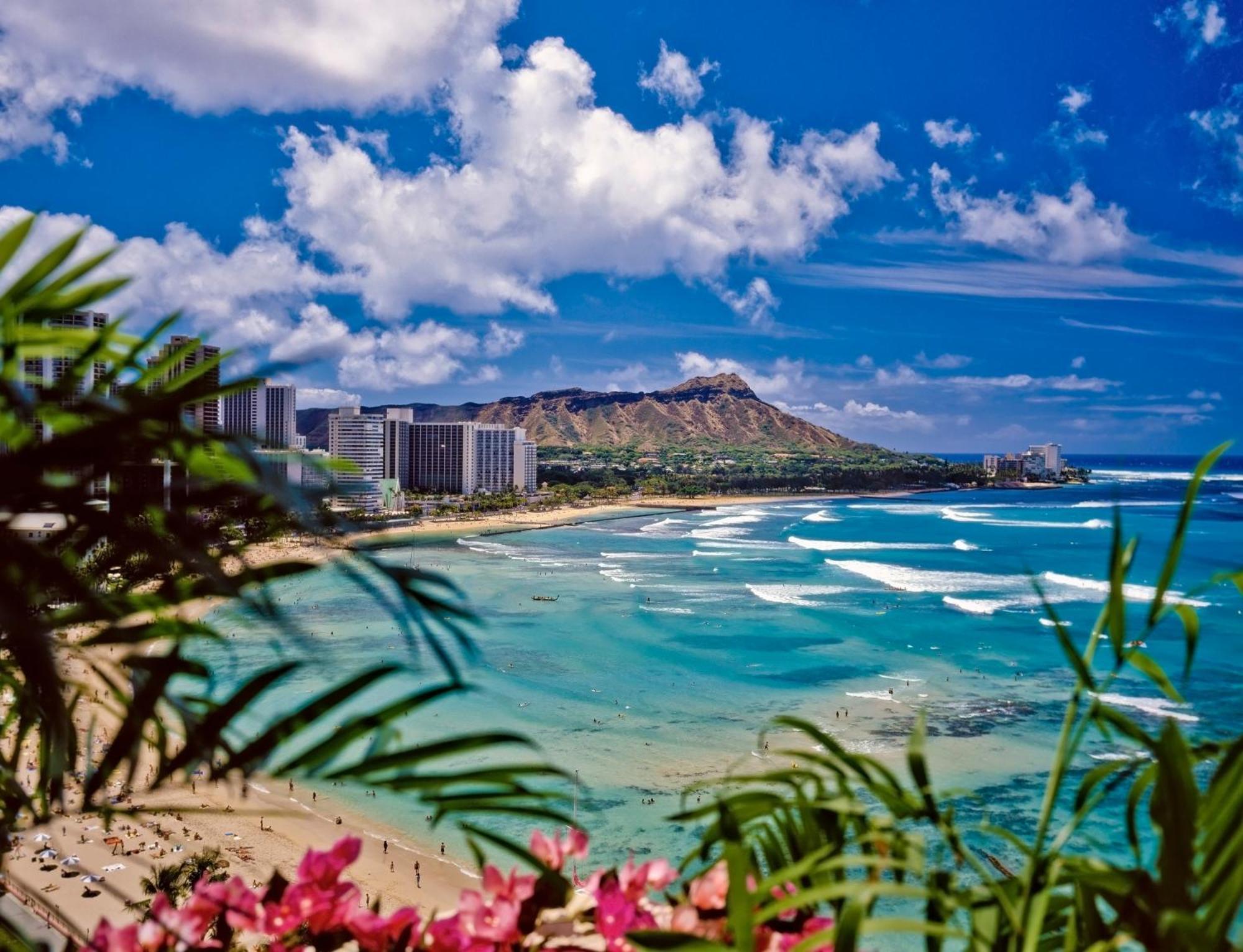 Great Ocean View Condo, Near Beach With Free Parking! ホノルル エクステリア 写真